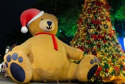 Natal-21-12-cart-3-3